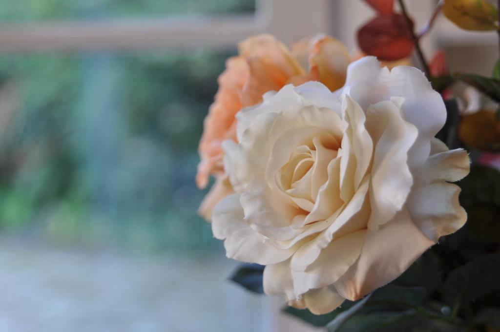 Bed and Breakfast Grange De La Herde Camon  Zimmer foto
